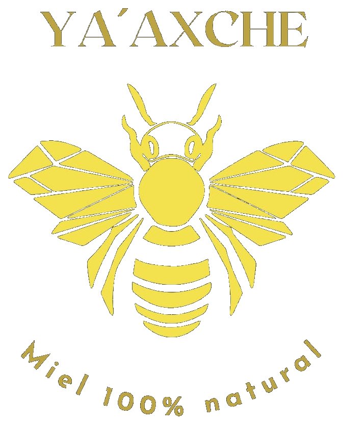 Yaaxche